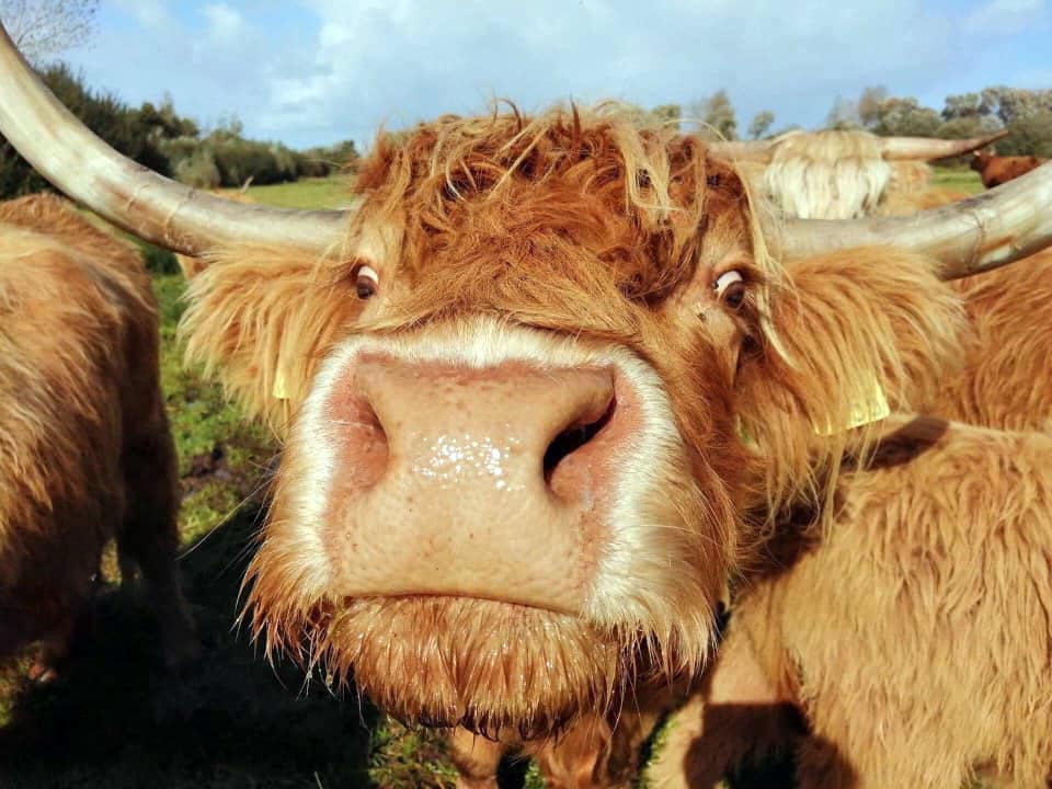 "Locavore" : Définition, Avantages / Inconvénients, Histoire... On vous dit tout ! "Locavore" : Définition, Avantages / Inconvénients, Histoire... On vous dit tout !