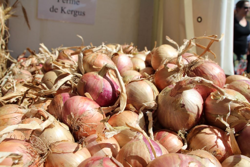 Tout savoir sur l’oignon ! Origines, variétés, saisons et bienfaits pour la santé Tout savoir sur l’oignon ! Origines, variétés, saisons et bienfaits pour la santé