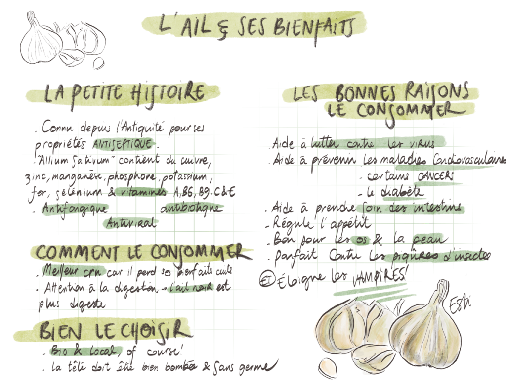 Bienfaits de l'ail : Ses 10 vertus sur ta santé