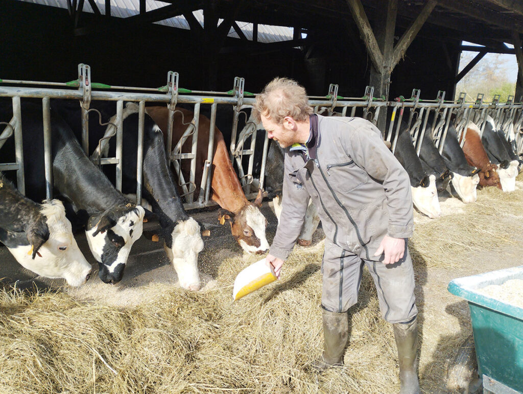 Ferme herbagère : tout savoir sur la production de lait 100% à l’herbe