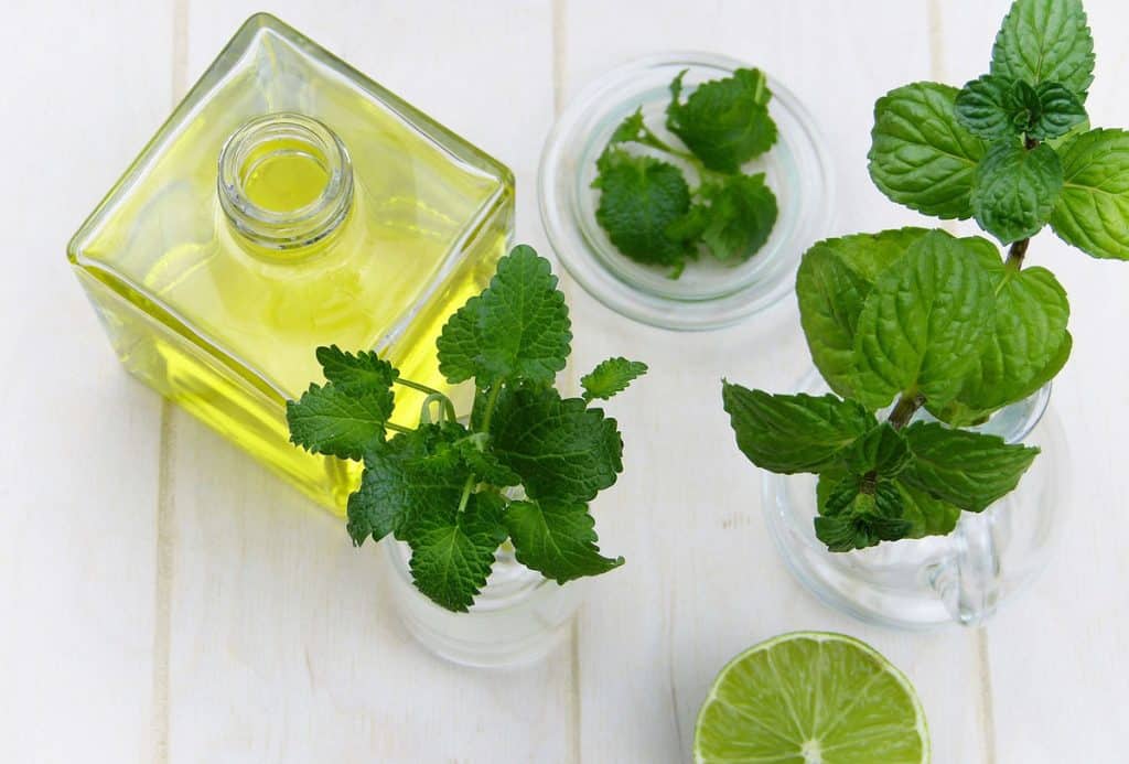 Phytothérapie, la santé au naturel : origines, bienfaits et utilisations Phytothérapie, la santé au naturel : origines, bienfaits et utilisations