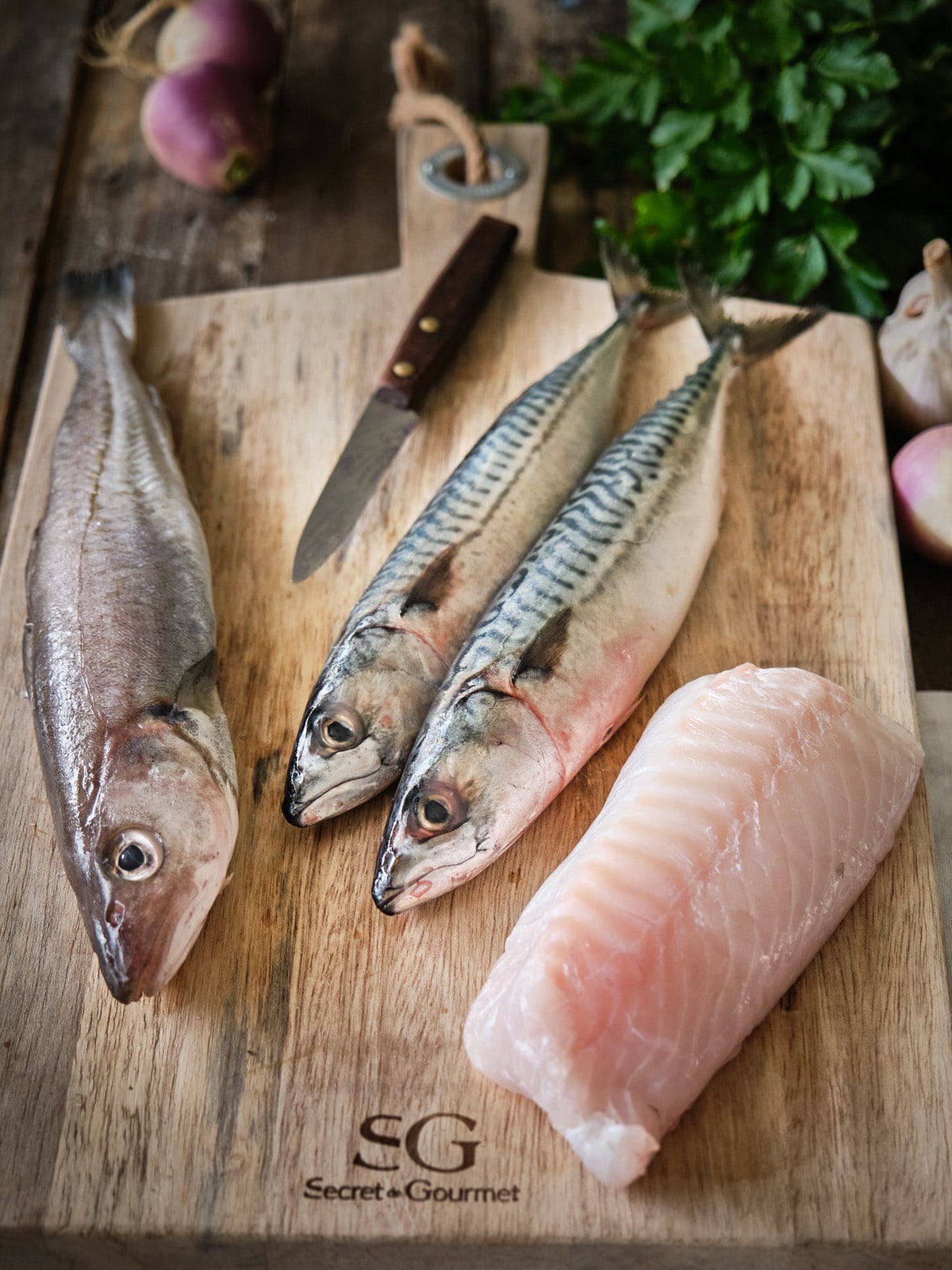 Recette de Cotriade Bretonne : La soupe de poisson typique