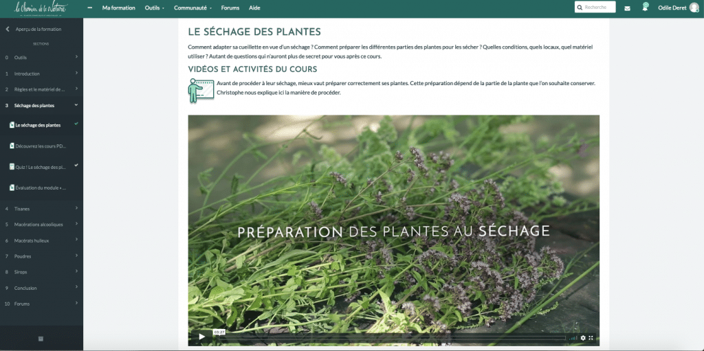 Cueillir des Plantes Sauvages 🌿 : LA Formation, complète et géniale Cueillir des Plantes Sauvages 🌿 : LA Formation, complète et géniale