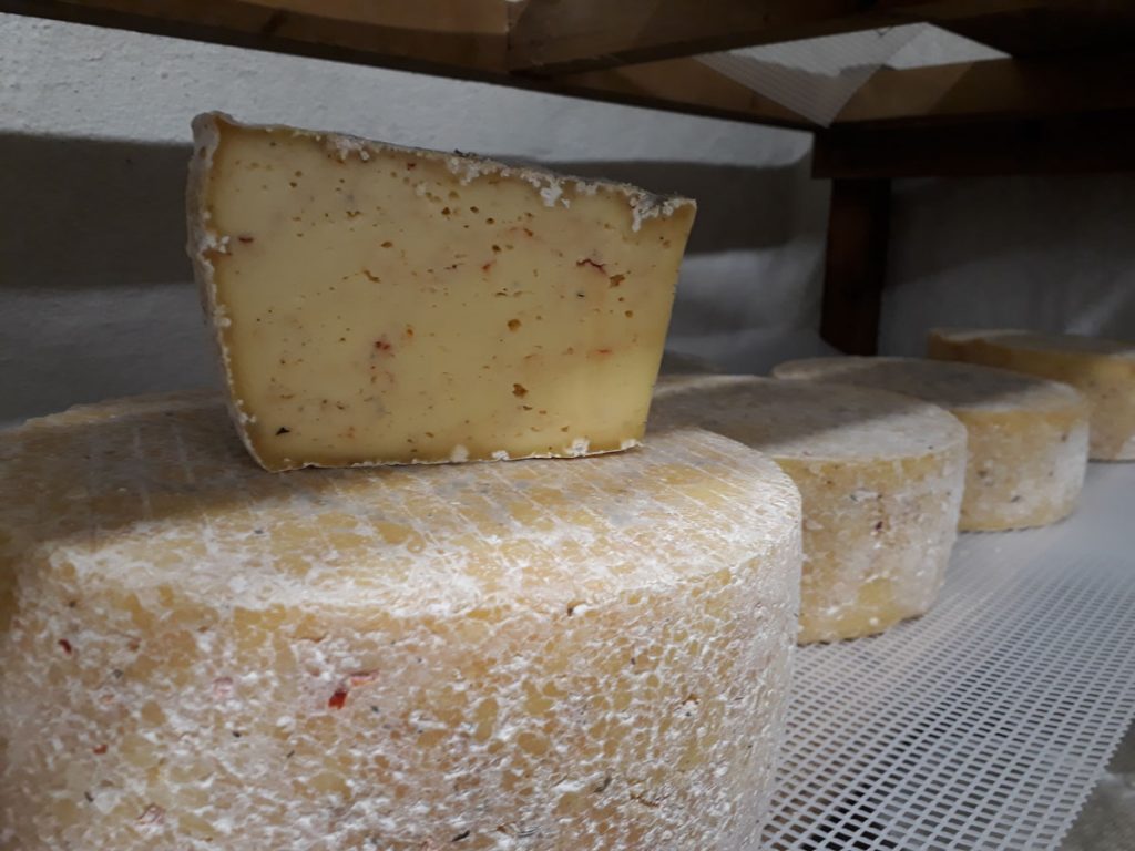 Top 13 des fromages bretons à goûter absolument... ! Top 13 des fromages bretons à goûter absolument... !