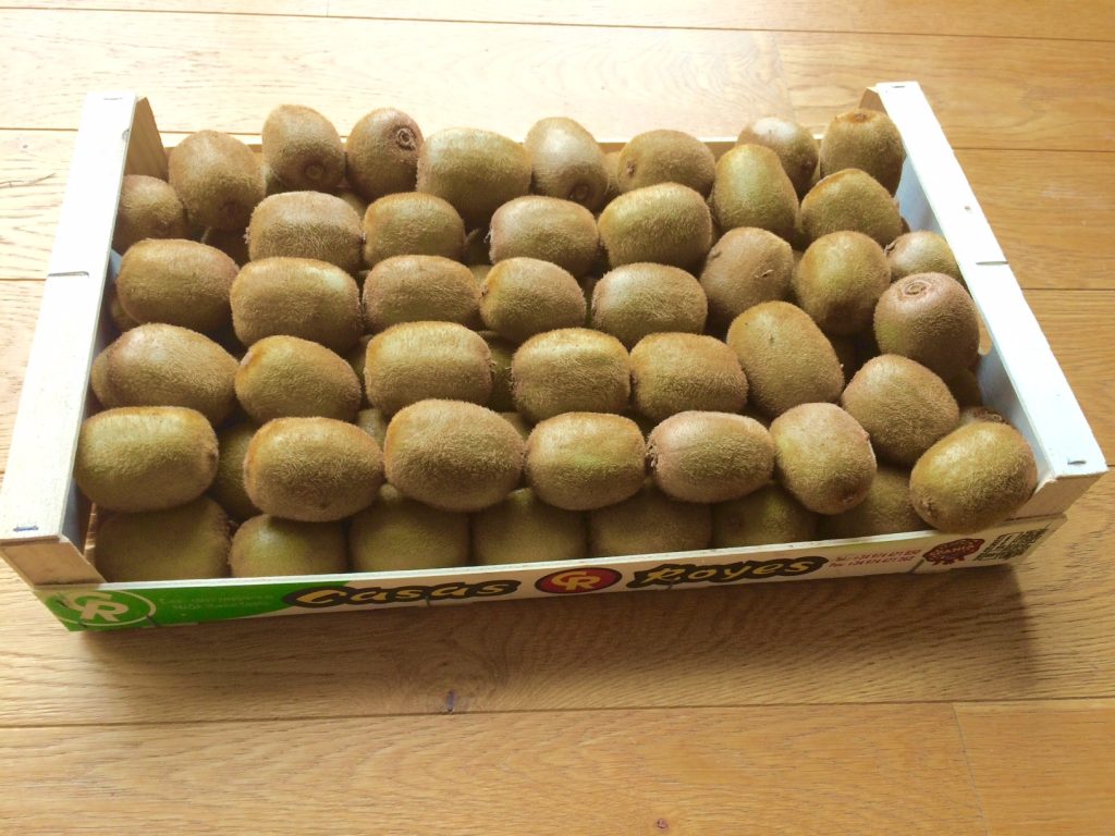 Kiwi : Quelle est sa saison ? Ses bienfaits ? Comment le conserver ?