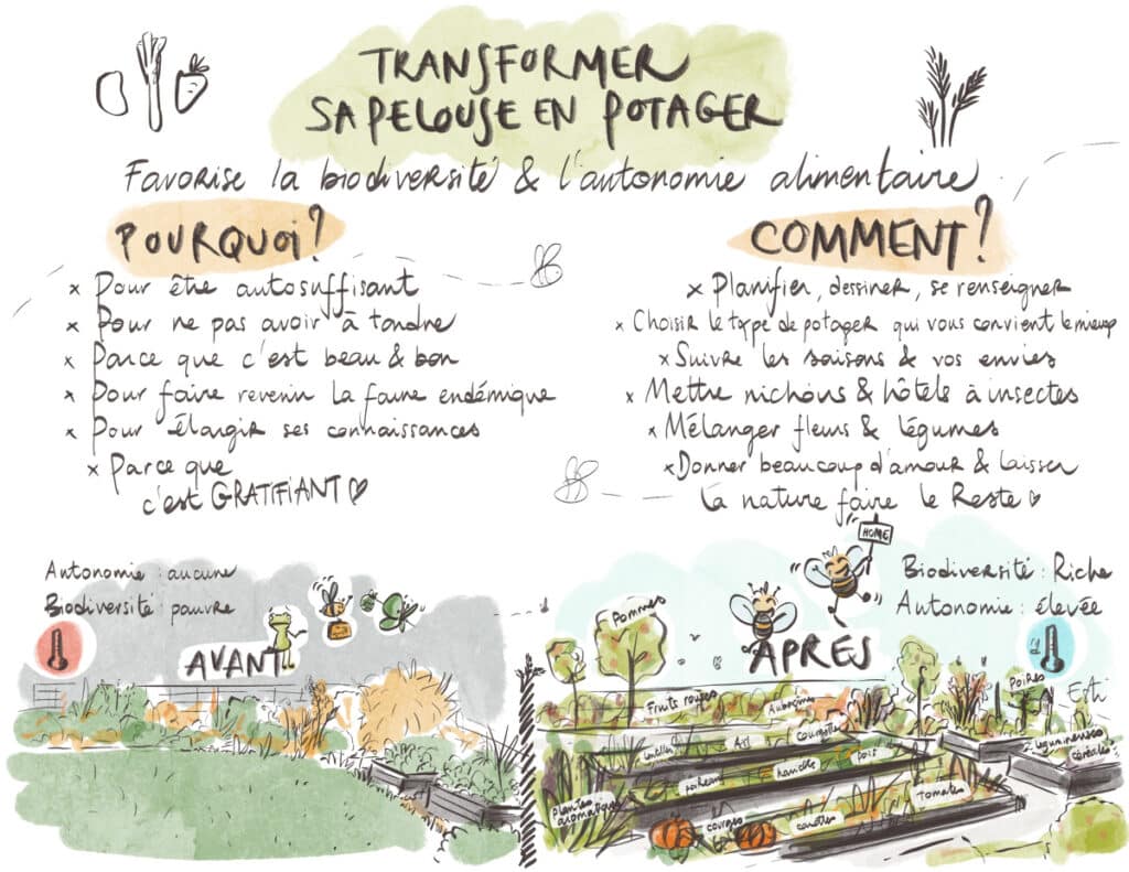 J'ai transformé ma pelouse en potager ! [GUIDE]