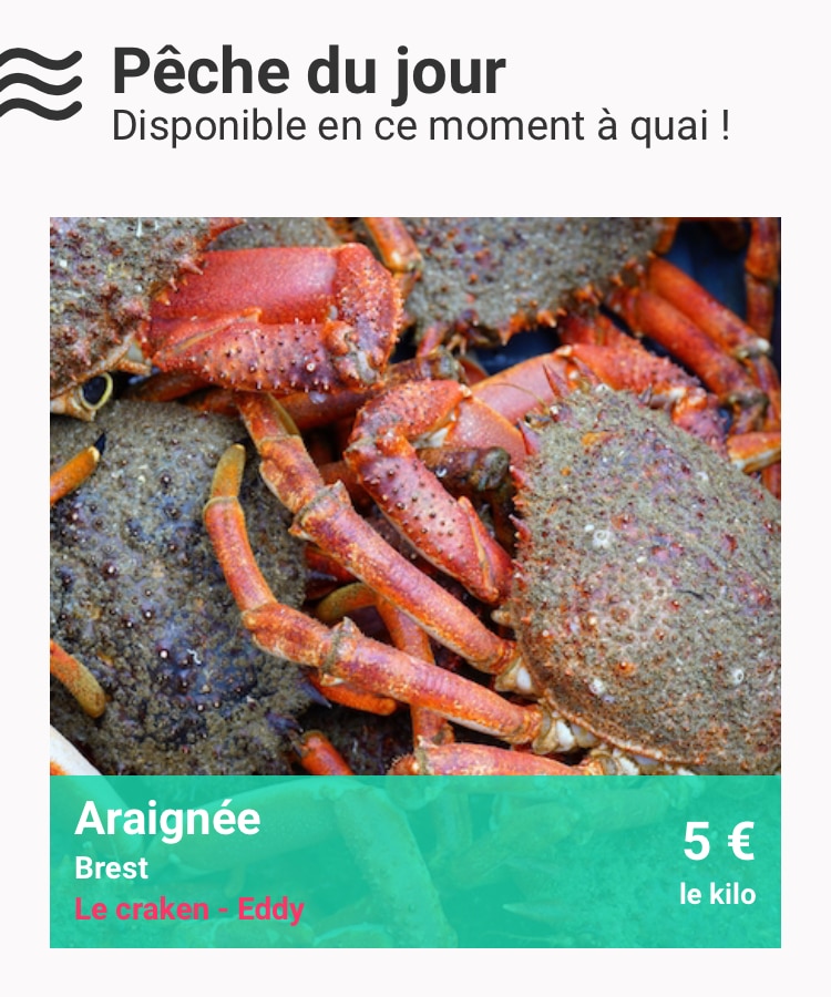 MonPecheur.com : La vente directe côté mer ! MonPecheur.com : La vente directe côté mer !