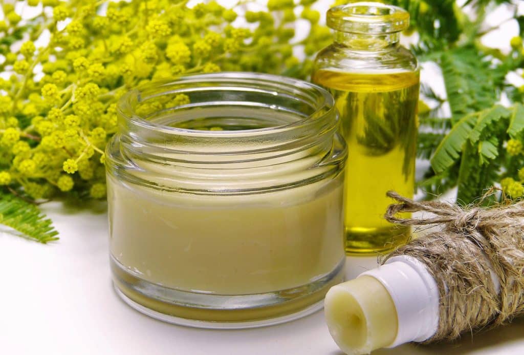 Phytothérapie, la santé au naturel : origines, bienfaits et utilisations Phytothérapie, la santé au naturel : origines, bienfaits et utilisations
