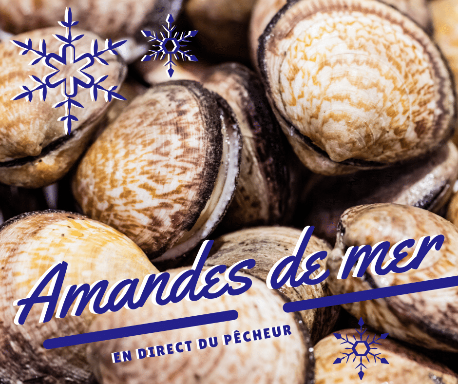 MonPecheur.com : La vente directe côté mer ! MonPecheur.com : La vente directe côté mer !