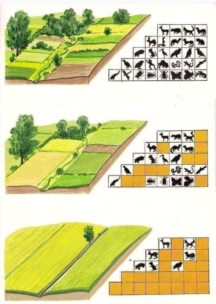 Quel est l'impact de l'agriculture sur la biodiversité et les écosystèmes ? Quel est l'impact de l'agriculture sur la biodiversité et les écosystèmes ?