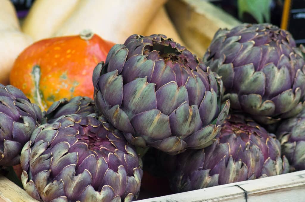 Artichaut : comment le cuire et le cuisiner ? Quels bienfaits ?