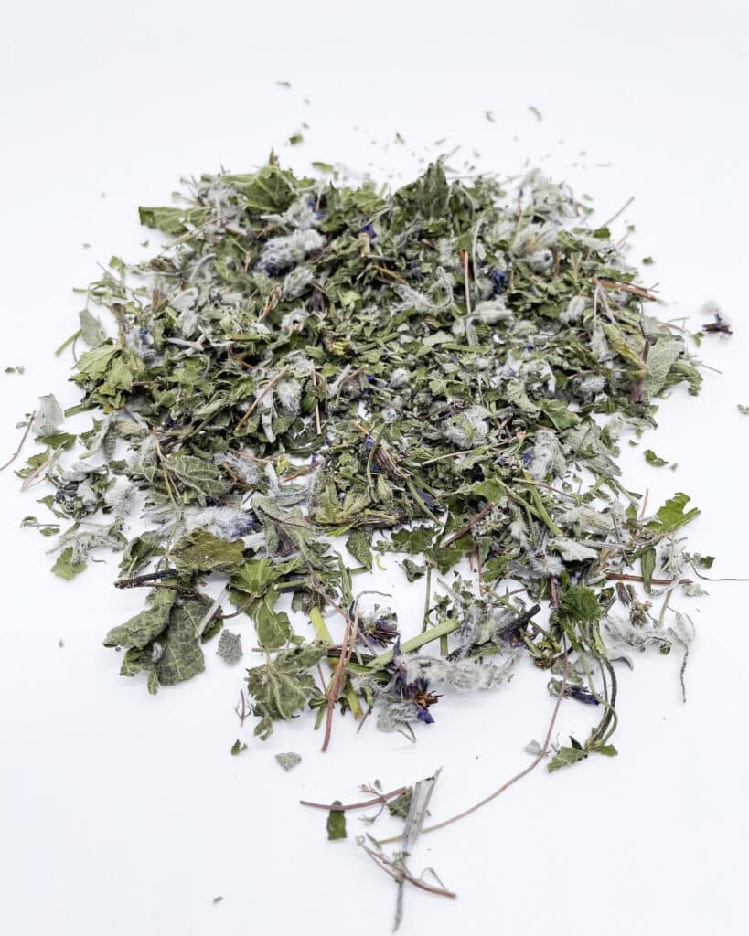 Herbes aromatiques et condimentaires : le calendrier mois par mois Herbes aromatiques et condimentaires : le calendrier mois par mois