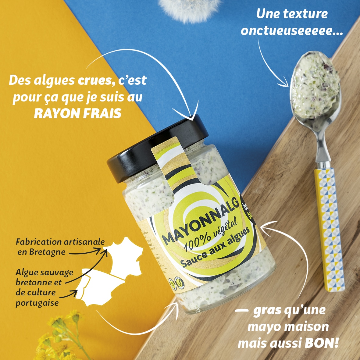 Bord à Bord : La cuisine aux algues 100% Bretonnes ! Bord à Bord : La cuisine aux algues 100% Bretonnes !