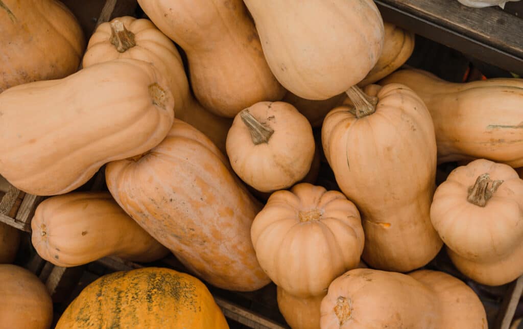 Butternut : idées recettes, conseils cuisson et préparation