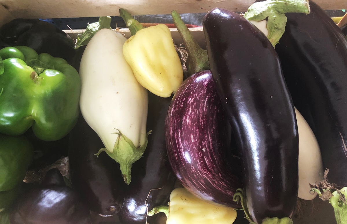 Cagettes de légumes de saison : On a comparé les prix pour vous !