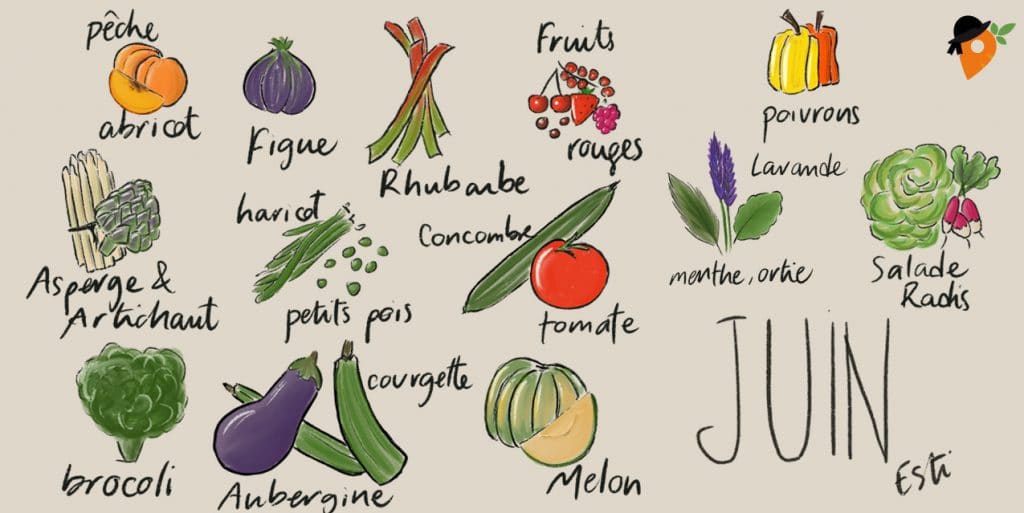 Légumes et fruits de saison - Juin [CALENDRIER + LISTE]