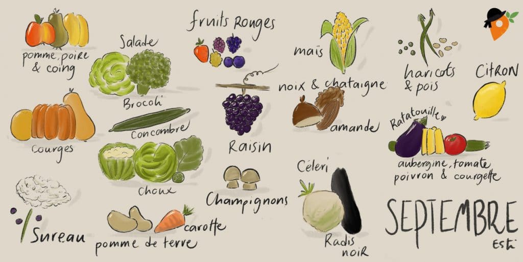 Légumes et fruits de saison - Septembre [CALENDRIER + LISTE]