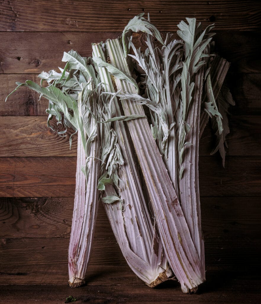 Cardon, un Légume Ancien : Saison, Origine, Recettes, Bienfaits, Goût...