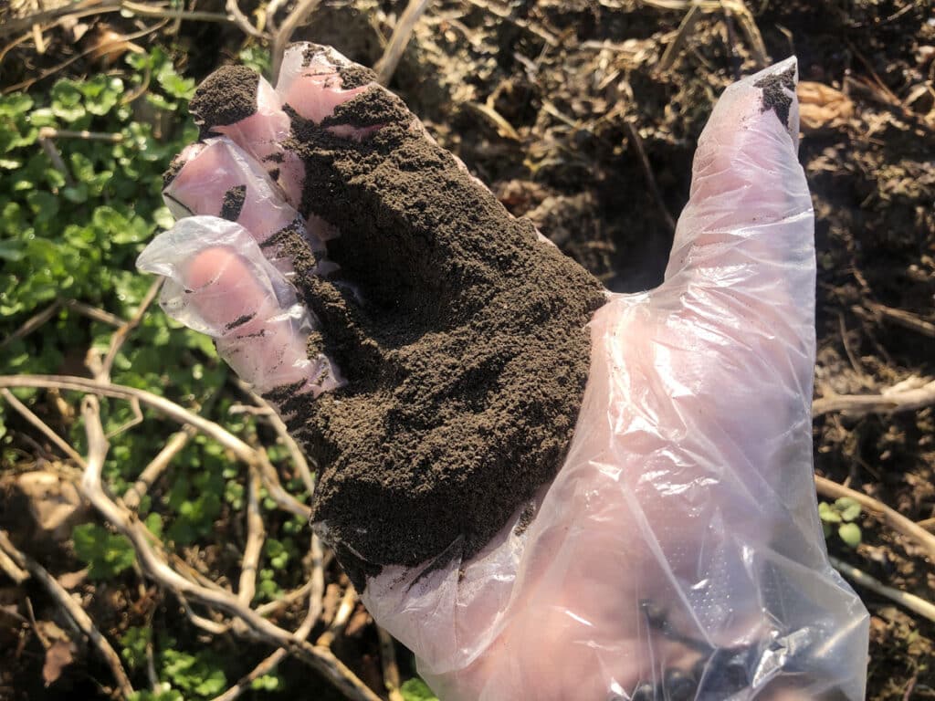 Comment utiliser la cendre au jardin et au potager ? Nos conseils et astuces