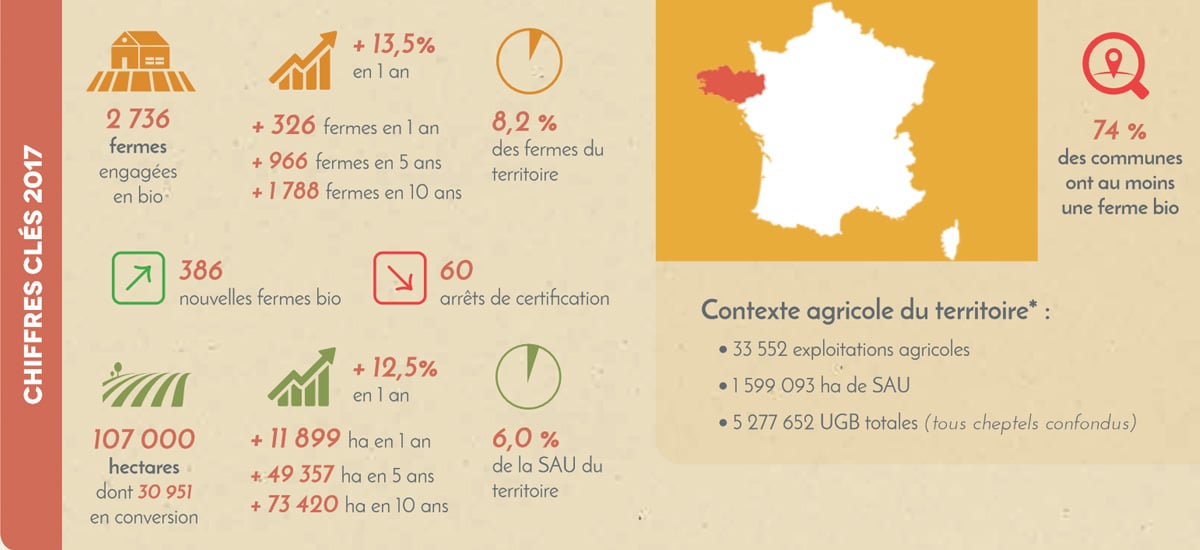 Manger Bio et/ou Local : quels avantages et comment faire ? [GUIDE]