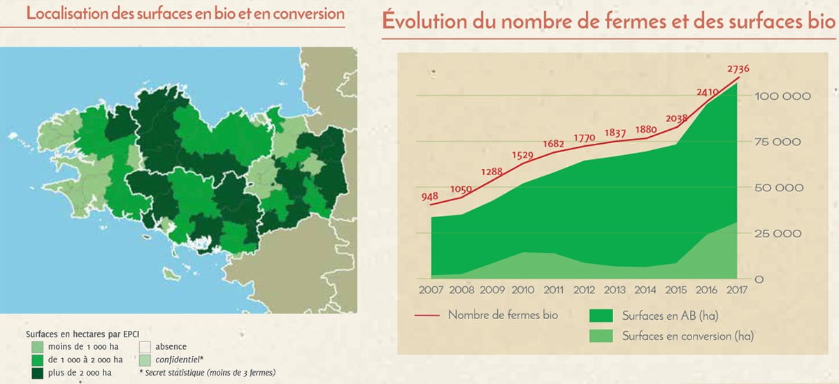 Manger Bio et/ou Local : quels avantages et comment faire ? [GUIDE]