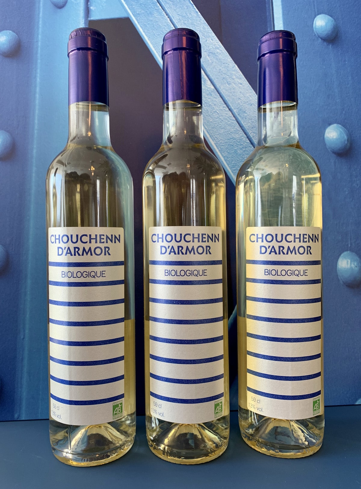 Chouchen : composition, histoire, signification... [GUIDE COMPLET]