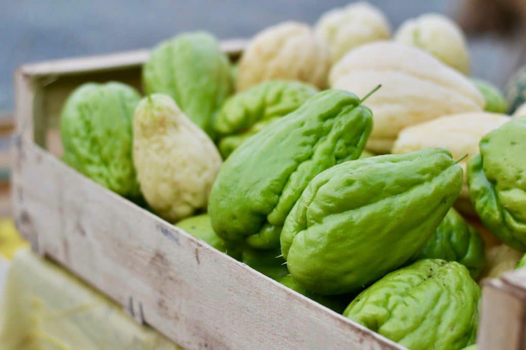 Top 15 des légumes anciens et oubliés [Liste + Conseils cuisine]