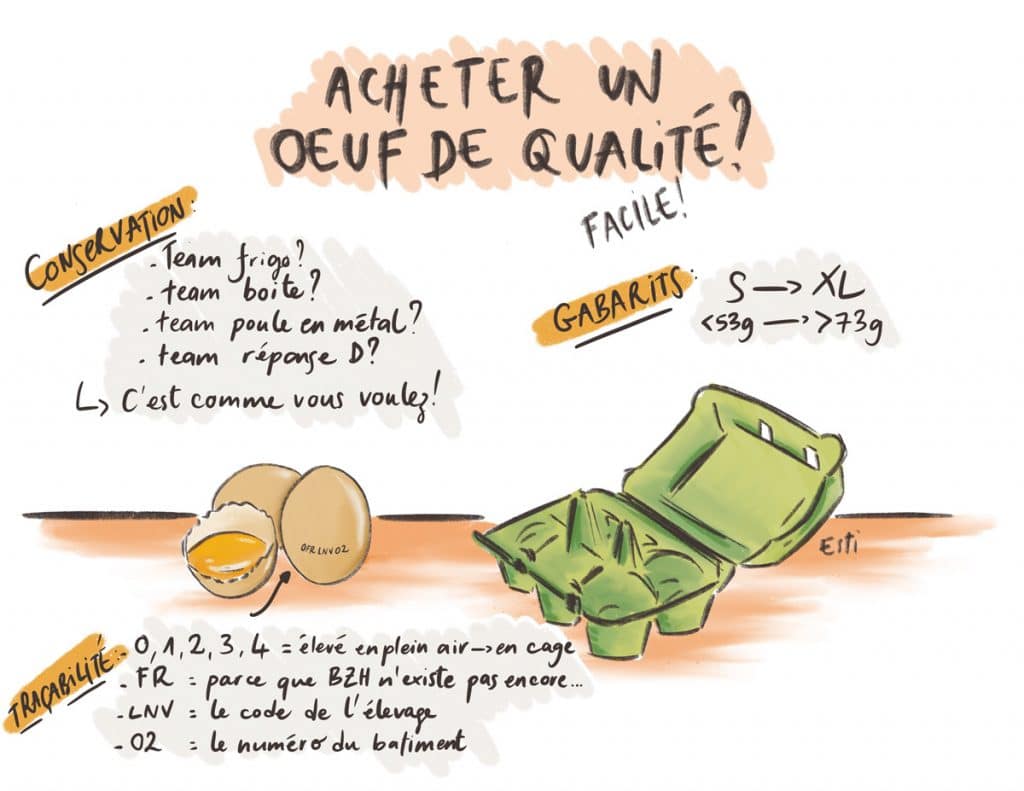 Comment choisir ses œufs, en fonction du code ?