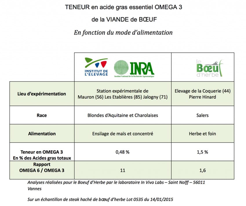 Comment bien choisir sa viande bovine ? On vous explique tout !