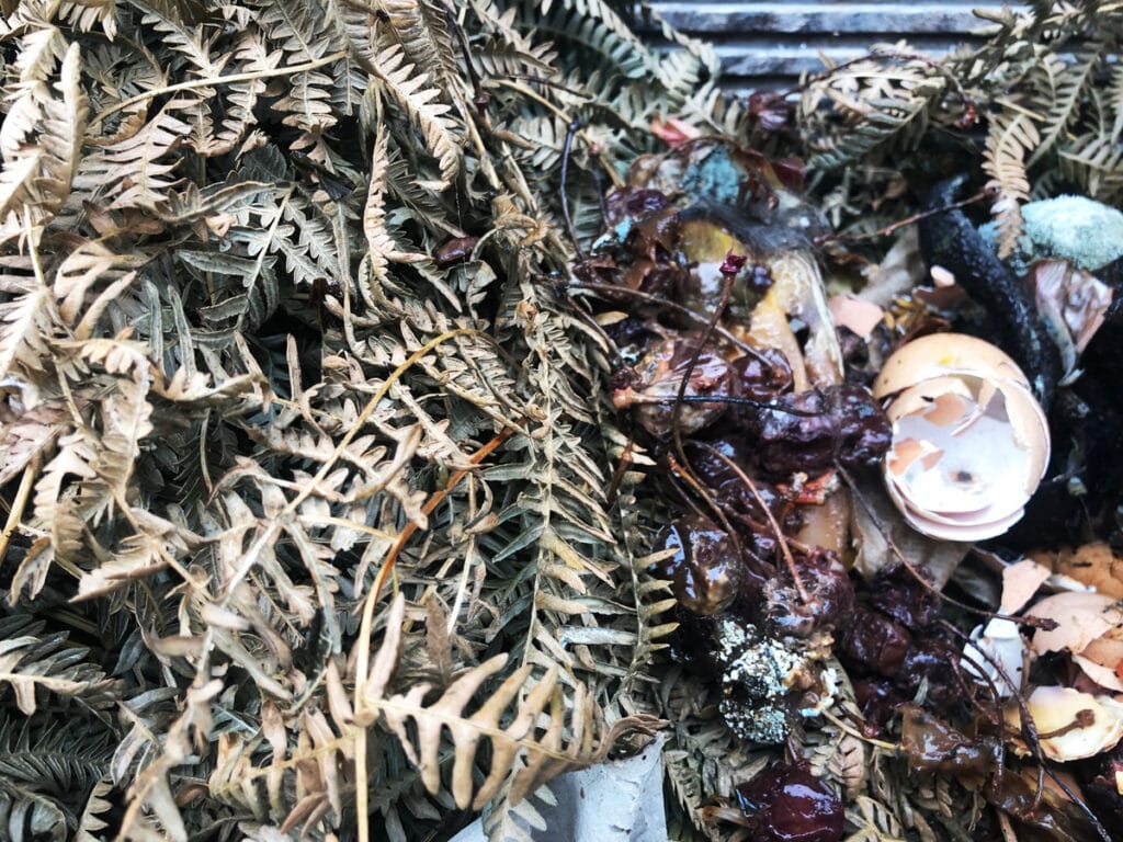 Compostage : quels sont les déchets compostables ?