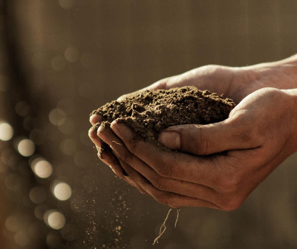 Comment faire son compost soi-même ? Guide pratique