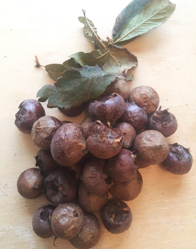 La nèfle : un fruit d’hiver, délicieux et injustement boudé !