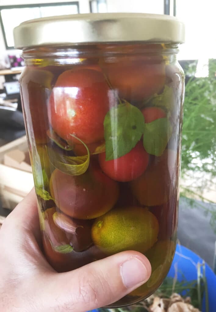 Faire ses bocaux maison : 5 techniques pour conserver les aliments