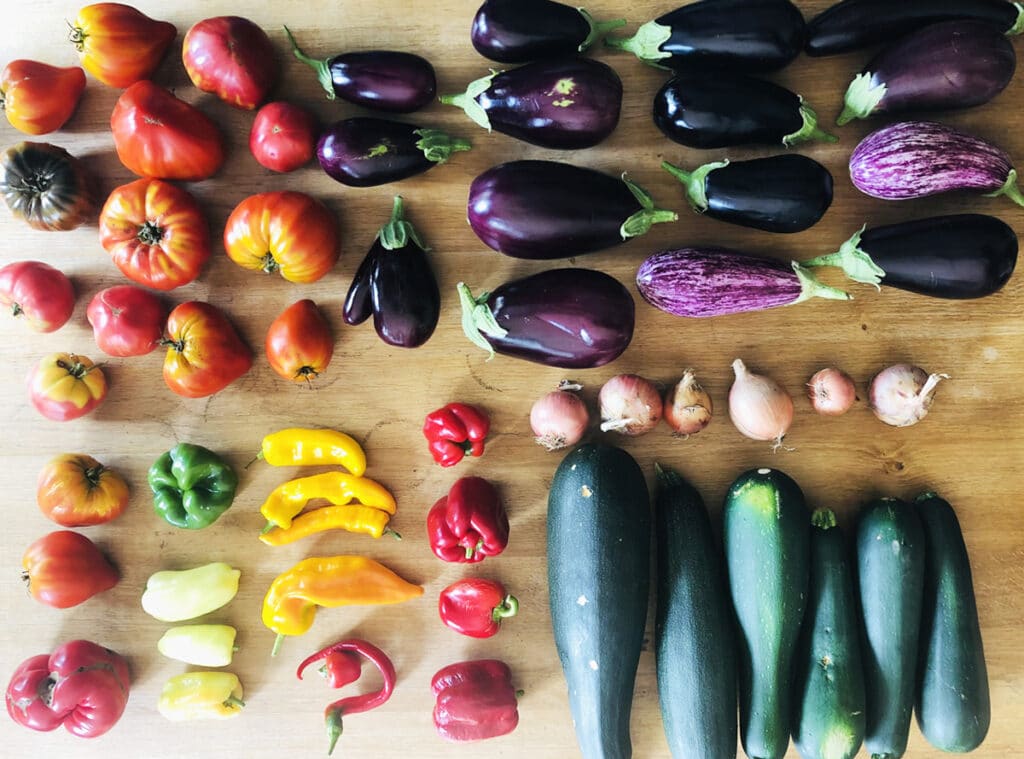 Comment conserver des aliments ? Toutes les techniques à adopter à la maison