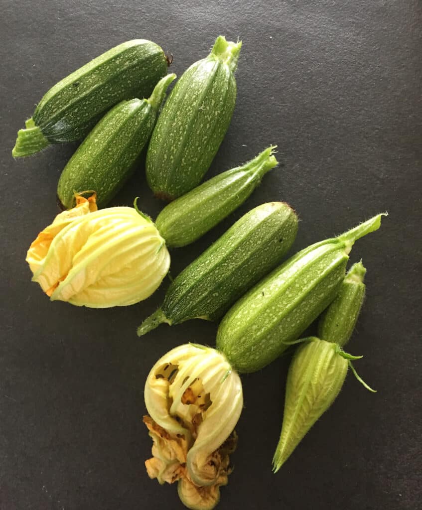 Saison de la courgette, variétés, bienfaits… le guide complet !