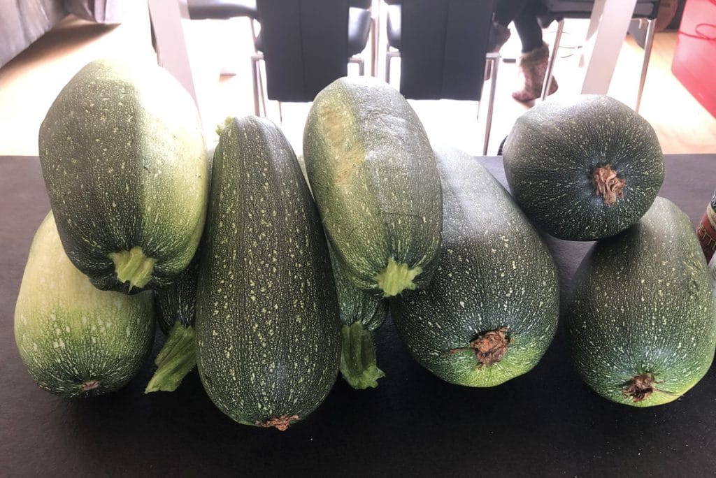 Gratin de courgettes : une recette de saison, facile et rapide