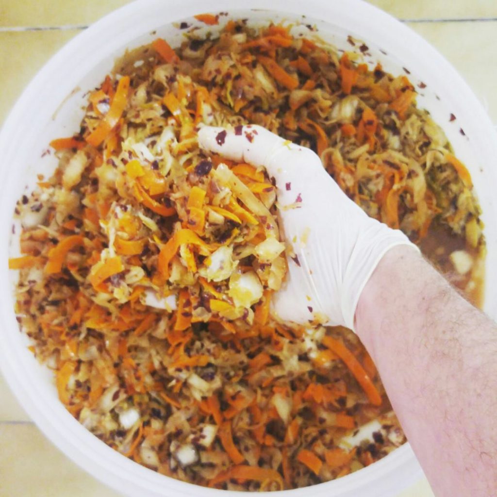 La lactofermentation : un mode de conservation à la portée de tous !