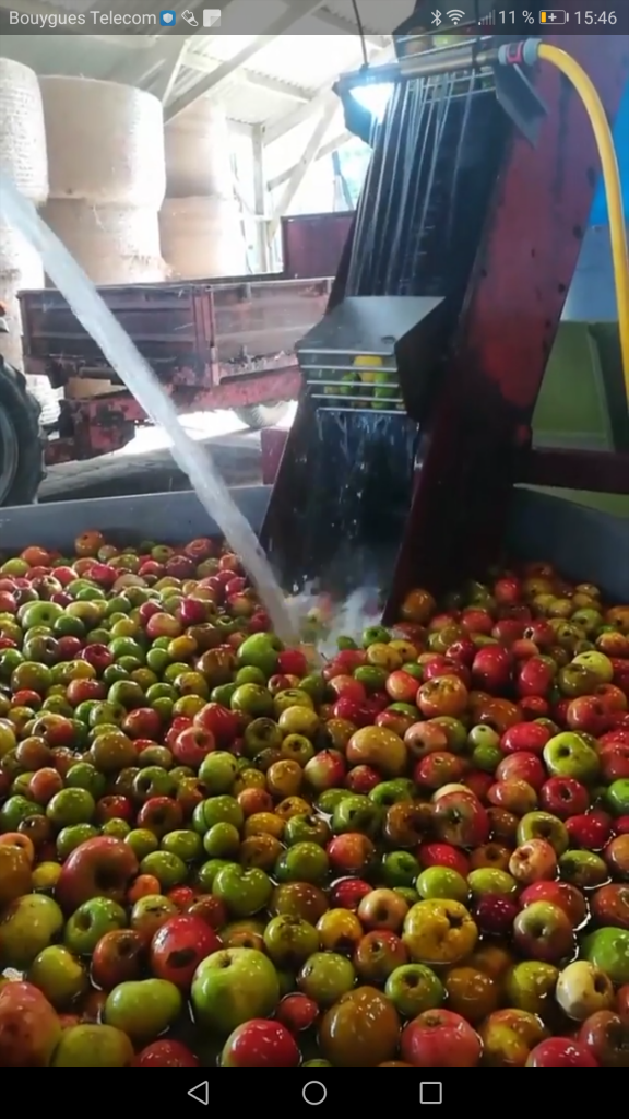 Comment faire du cidre ? Le guide, étape par étape. Comment faire du cidre ? Le guide, étape par étape.