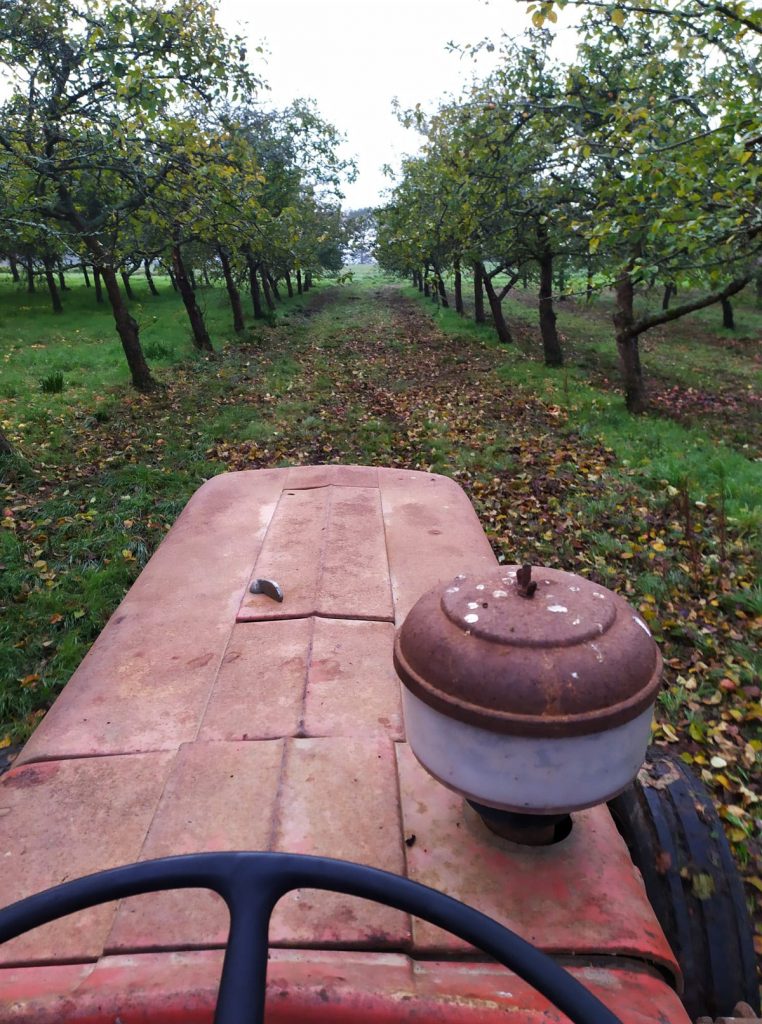 Comment faire du cidre ? Le guide, étape par étape. Comment faire du cidre ? Le guide, étape par étape.