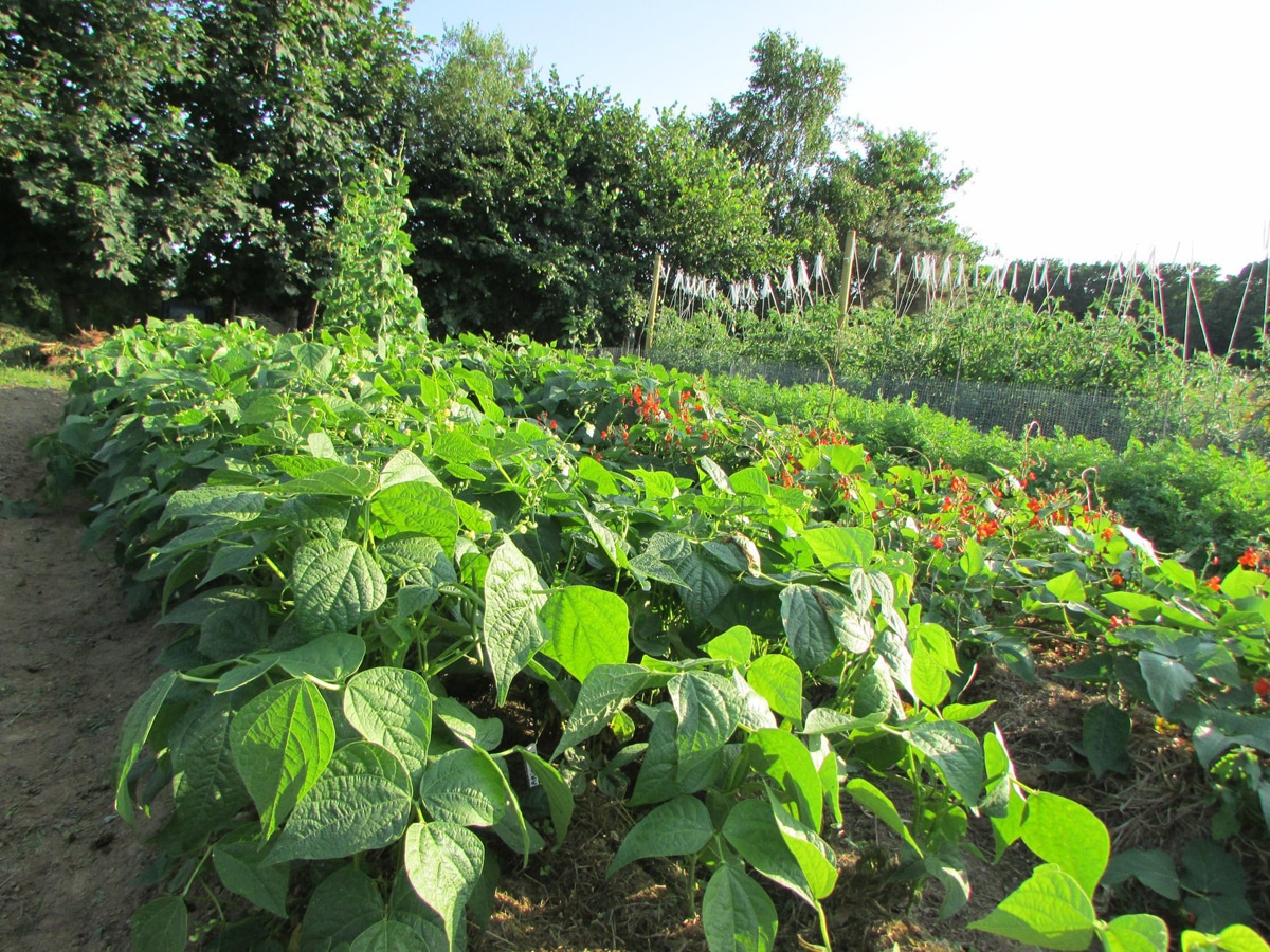 Portes-Ouvertes chez les producteurs : toute l'année près de chez toi !