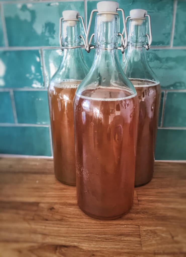 Le Kombucha : origines, bienfaits, comment en faire ? Le guide complet ! Le Kombucha : origines, bienfaits, comment en faire ? Le guide complet !