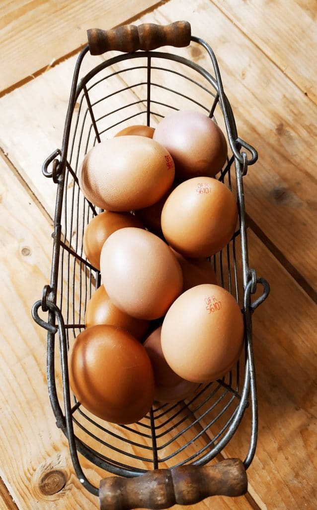 Oeufs bio, Label Rouge ou Plein air : lesquels choisir ?