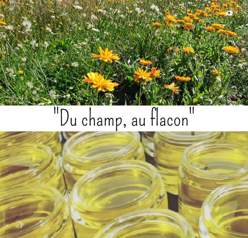 La Ferme de la Pich : Cosmétiques Naturels et BIO (Ille-et-Vilaine) La Ferme de la Pich : Cosmétiques Naturels et BIO (Ille-et-Vilaine)