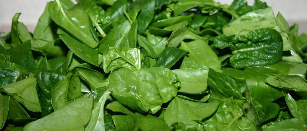 Le Clic des Champs : La boutique en direct des producteurs sur Rennes Le Clic des Champs : La boutique en direct des producteurs sur Rennes