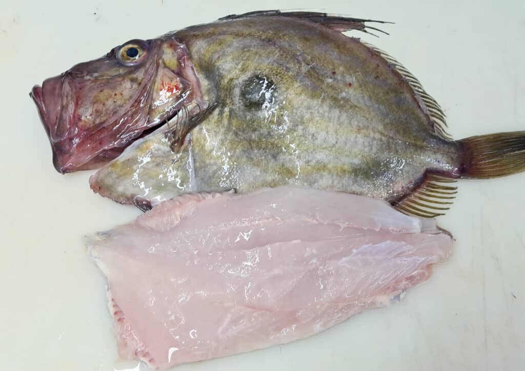 Le poisson Saint-Pierre : Comment le cuisiner ? À quelle saison ?