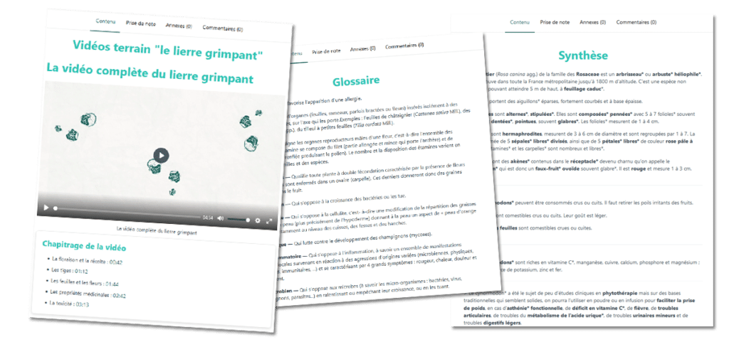 Une formation pour identifier les arbres : Présentation et Avis
