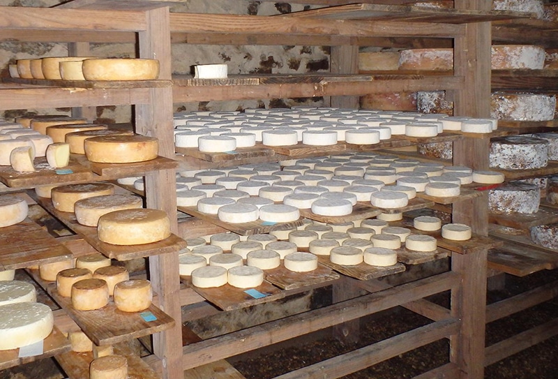 Fromages de saison : le calendrier pour t’y retrouver