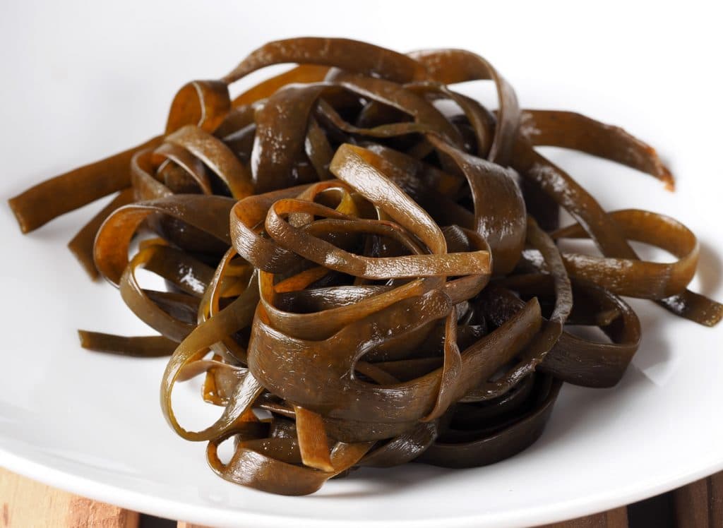 Haricot de mer : une algue brune aux nombreux bienfaits