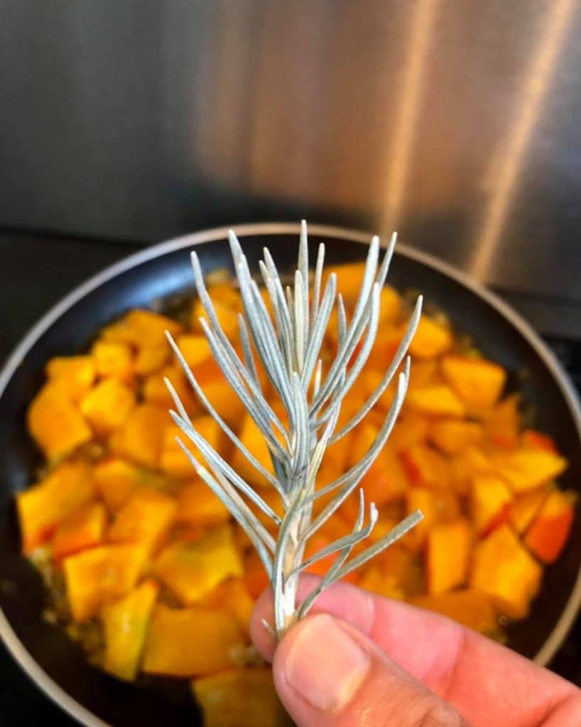 Herbe à Curry : Bienfaits, Culture, Utilisations, Recettes...