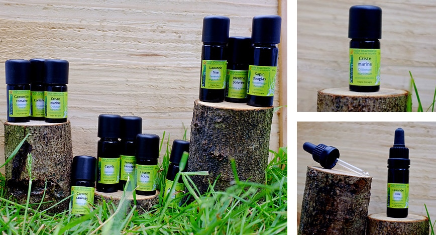 Des huiles essentielles produites en Bretagne : Avelenn Des huiles essentielles produites en Bretagne : Avelenn
